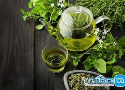 چای سبز؛ یکی از بهترین دهانشویه های طبیعی
