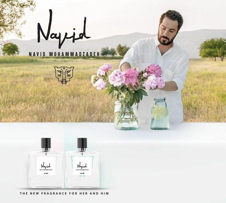 نوید محمدزاده: چرا فقط دنبال این هستیم آدم ها را بکوبیم؟! نوید محمدزاده: چرا فقط دنبال این هستیم آدم ها را بکوبیم؟!
