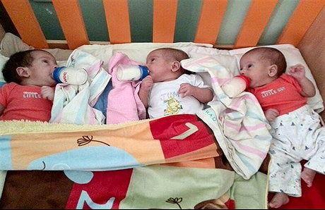 اعلام زمان واریز کمک هزینه خانواده های دارای چند قلو اعلام زمان واریز کمک هزینه خانواده های دارای چند قلو