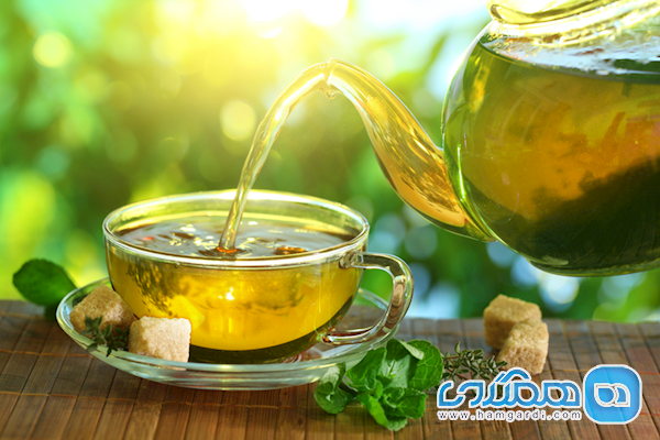 روزانه چند فنجان چای سبز بنوشیم؟ روزانه چند فنجان چای سبز بنوشیم؟