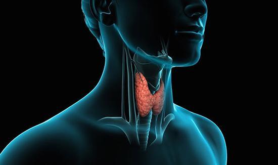 چند روش ساده برای مقابله با کم کاری تیروئید چند روش ساده برای مقابله با کم کاری تیروئید