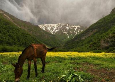 دشت دریاسر تنکابن؛ زیبایی چشمگیر در مازندران