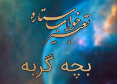 تعبیر خواب بچه گربه