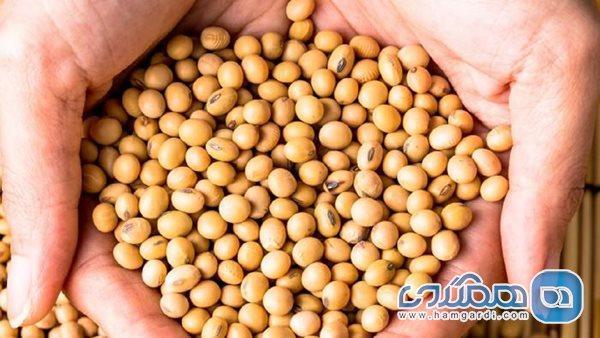 فواید لوبیای سویا برای درمان سرطان استخوان فواید لوبیای سویا برای درمان سرطان استخوان