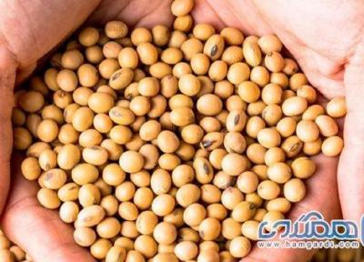 فواید لوبیای سویا برای درمان سرطان استخوان