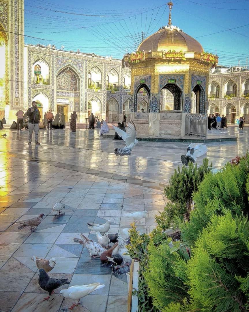 جنبه های علمی امام رضا علیه السلام جنبه های علمی امام رضا علیه السلام