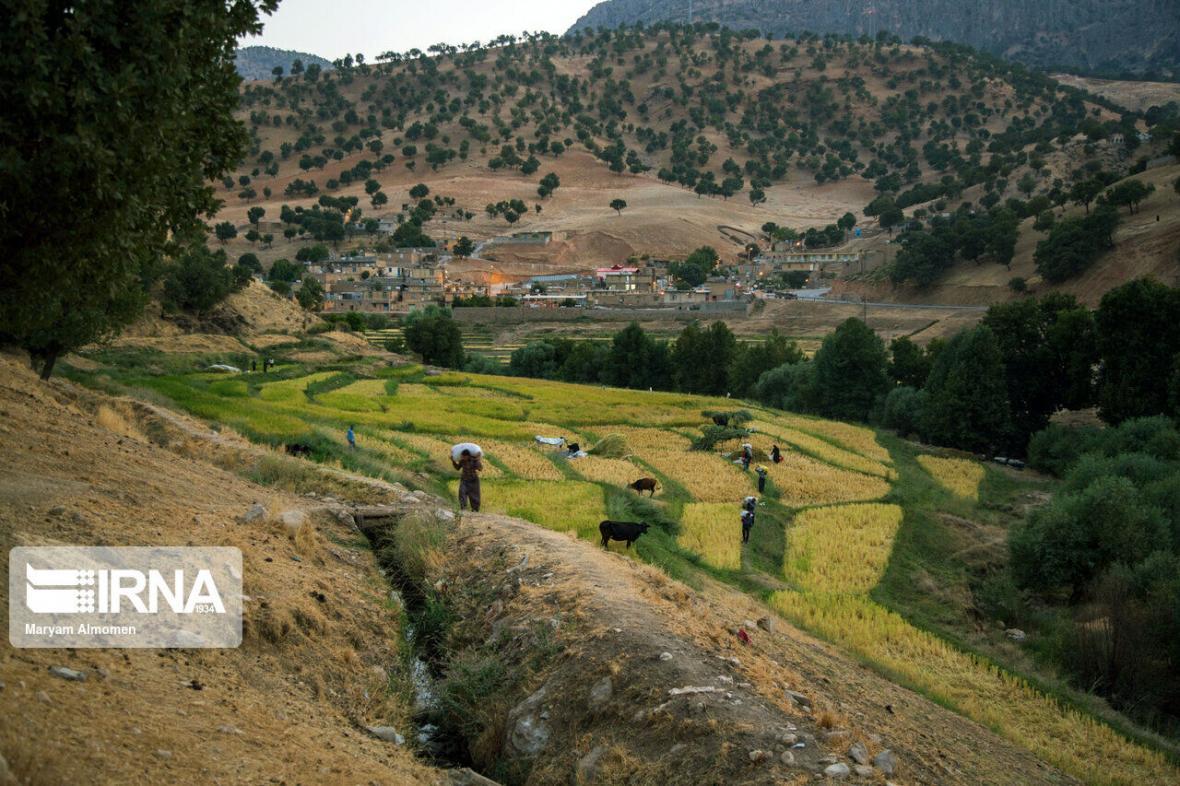 خبرنگاران اشتغالزایی و بهره برداری اصولی با توسعه تعاونی خبرنگاران اشتغالزایی و بهره برداری اصولی با توسعه تعاونی ها در منابع طبیعی