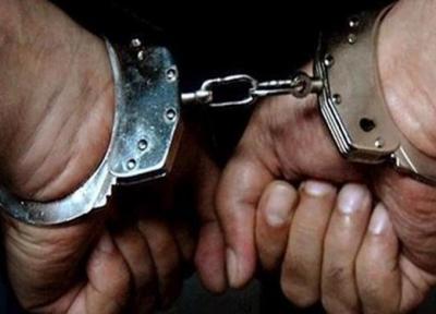 عربده کش جنوب در تله پلیس افتاد