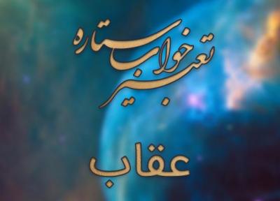 تعبیر خواب عقاب - دیدن عقاب در حال پرواز چه مفهومی دارد؟