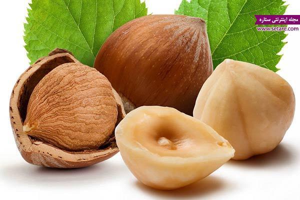 خواص فندق و روغن فندق خواص فندق و روغن فندق