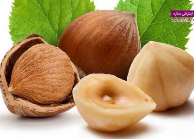 خواص فندق و روغن فندق