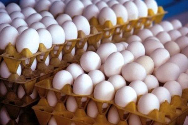 انبار احتکار تخم مرغ در یزد توقیف شد انبار احتکار تخم مرغ در یزد توقیف شد