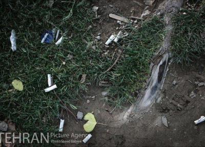 بخشی از بستر انهار ولیعصر از ته سیگار سفید شده است