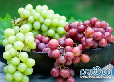 چرا خوردن روزانه نصف فنجان انگور بسیار مهم است؟