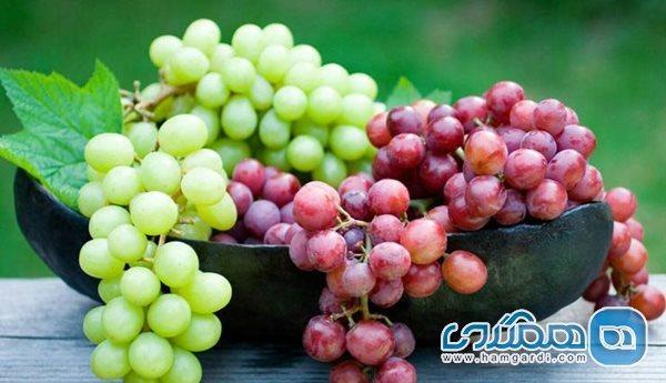 چرا خوردن روزانه نصف فنجان انگور بسیار مهم است؟