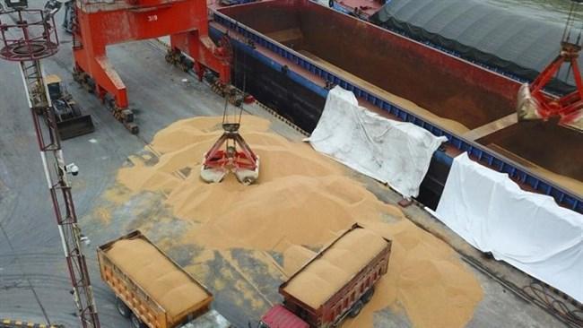 جزئیات واردات 7.1 میلیارد دلار کالای اساسی جزئیات واردات 7.1 میلیارد دلار کالای اساسی