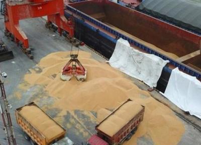 جزئیات واردات 7.1 میلیارد دلار کالای اساسی