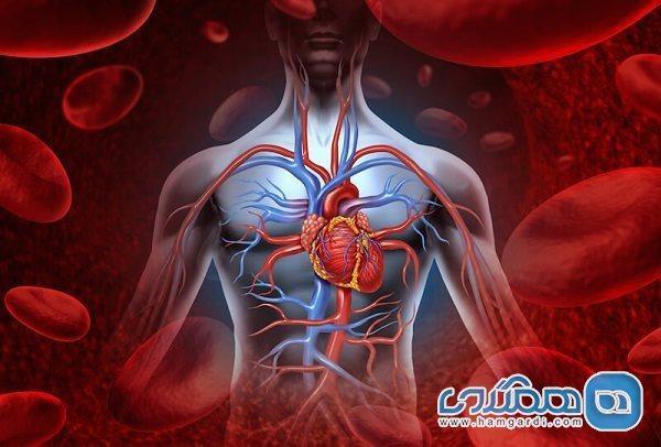 6 خوردنی برای تقویت گردش خون در فصل سرما