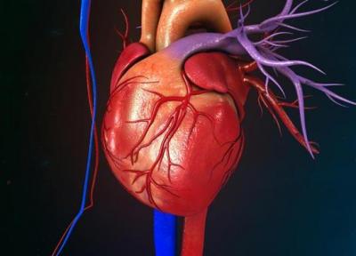 گرفتگی قلب یا گرفتگی رگ قلب چیست و چگونه درمان می شود؟