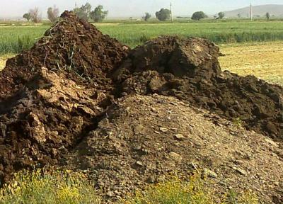 استفاده از کود گاوی برای تولید حرارت