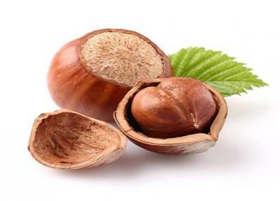 خواص فندق در دوران بارداری
