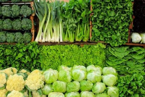 خطر جدی کم آبی در کمین سبزیجات خطر جدی کم آبی در کمین سبزیجات
