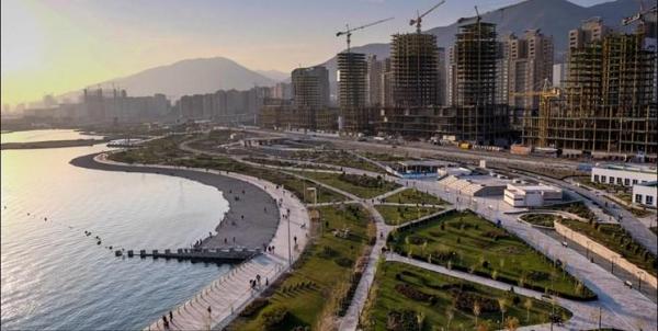 در دریاچه چیتگر تمساح نبود؛ یک اردک ماهی بود