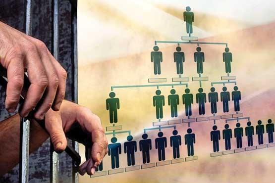 انهدام یک شرکت هرمی در بندرانزلی انهدام یک شرکت هرمی در بندرانزلی