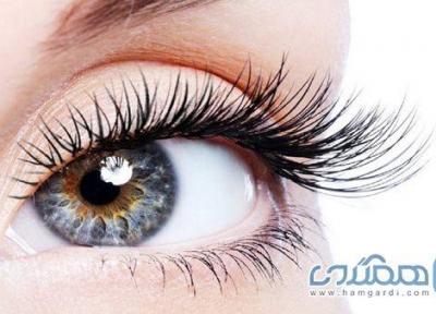 بهترین مواد غذایی برای داشتن مژه های بلند