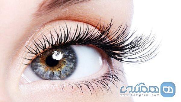 بهترین مواد غذایی برای داشتن مژه های بلند