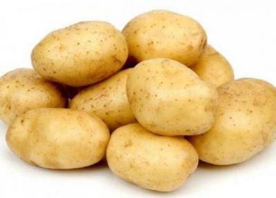 نگهداری سیب زمینی در یخچال خطرناک است