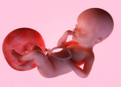 جفت جنین؛ زباله دان نقایص ژنتیکی