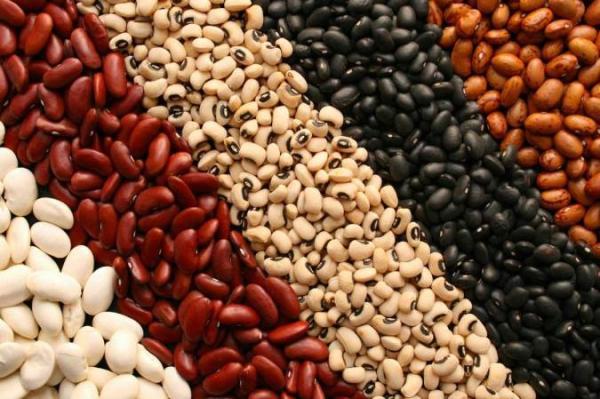 آشنایی با فواید و خواص لوبیا