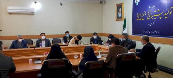 تحقق 103 درصدی ایجاد اشتغال حوزه صنایع دستی در صحنه